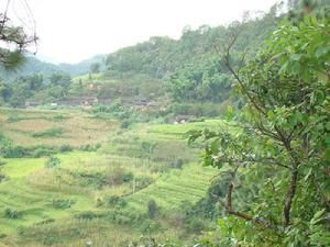 大立馬東自然村