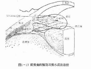 晶狀體相關葡萄膜炎