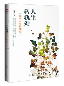 人生轉軌處:迷茫少年蛻變記