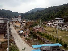 將軍村[福建龍巖武平縣岩前鎮將軍村]