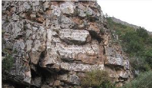 勒巴溝摩崖石刻