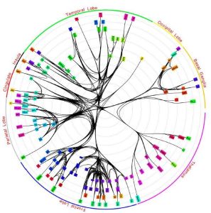 核心子網 (PNAS)