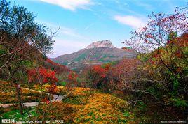 紅葉谷[吉林長白山景點]