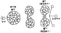 原子核模型