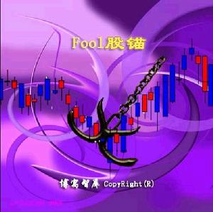 （圖）fool股錨開始界面