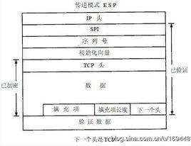 IPsec ESP