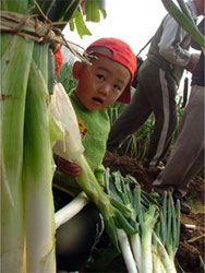 繡惠鎮