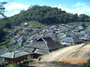 曼蚌新二村