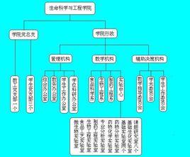 蘭州理工大學生命科學與工程學院製藥工程