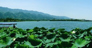 龍水村景點