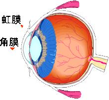 生物特徵識別