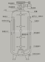 環噴發酵罐