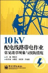 10kV配電線路帶電作業常見違章現象與預防措施