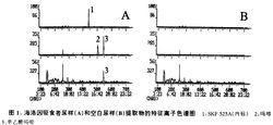 吸食者尿樣(A)和空白樣(B}提取物離子色譜圖