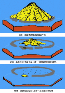 珊瑚礁的發育