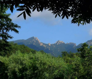 九龍池風景區