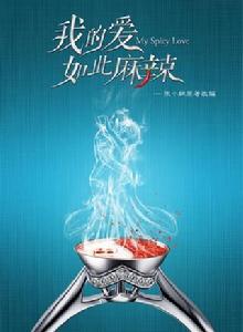 我的愛如此麻辣[2017年劉坦執導電視劇]