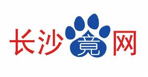 長沙竟網logo