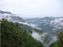 南嶺雲海