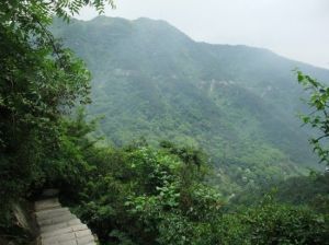 花脖山森林公園花脖山