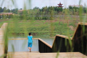 沱陽公園