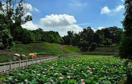 中山樹木園