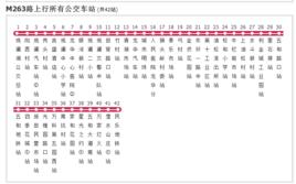 深圳公交M263路