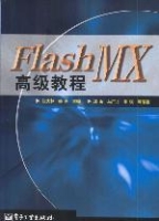 FlashMX高級教程