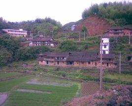 廣橋村[福建仙遊縣西苑鄉下轄村]