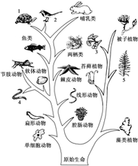 生物起源