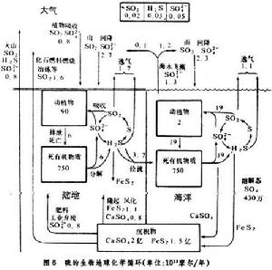 生物地球化學循環