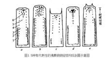 沸騰鋼鋼錠