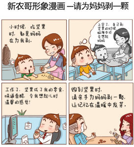 剝開記憶的堅果