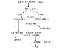 醫療事故處理流程與賠償標準