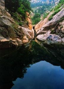 龍尾村[山東省萊蕪市萊城區大王莊鎮龍尾村]