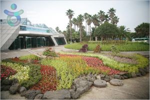 濟州觀光植物園