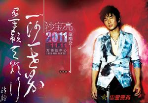 沙寶亮2011演唱會北京站