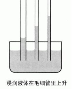 毛細管作用