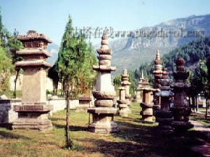 山東神通寺塔林