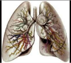 單肺通氣