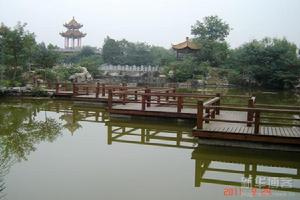 無名山公園植物