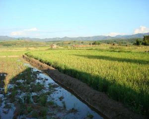 蠻東村