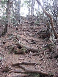 大峰奧崖路