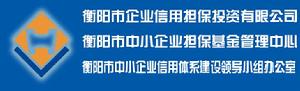 衡陽市企業信用擔保投資有限公司