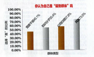 弱勢群體調查