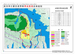 流芳街政府委託武漢市城市規劃設計研究院