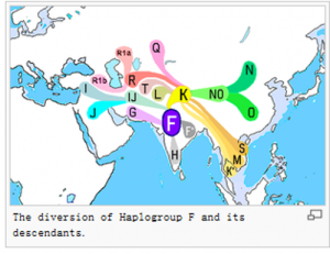 y haplorgoup F and its descendants