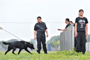 搜油犬