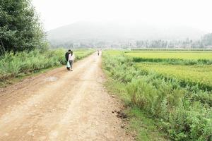 萬民愛村-進村道路