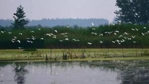 石龍湖國家級濕地公園